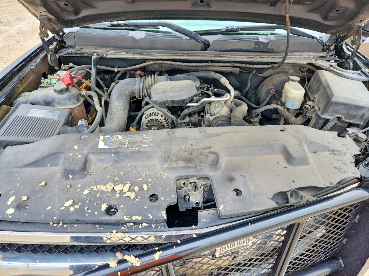 2010 CHEVROLET SILVERADO C1500 photo 21