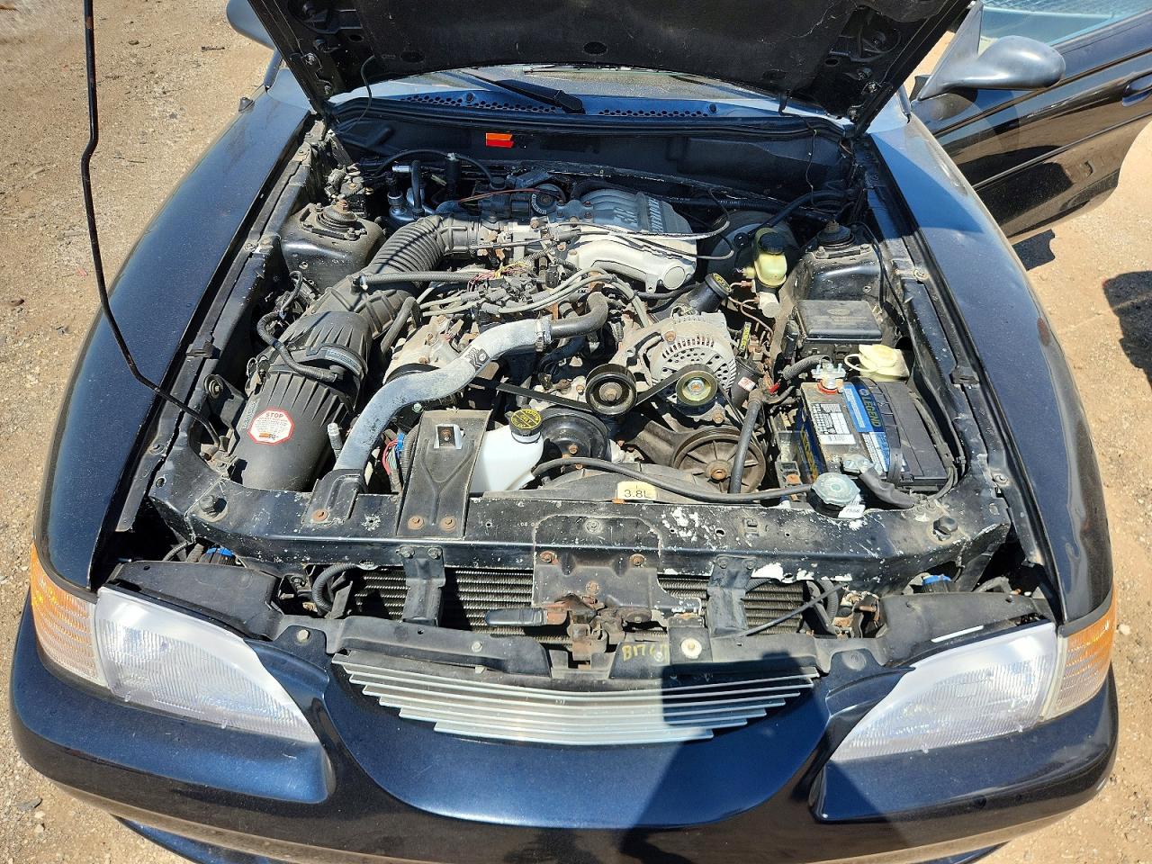 1994 FORD MUSTANG BASE photo 11