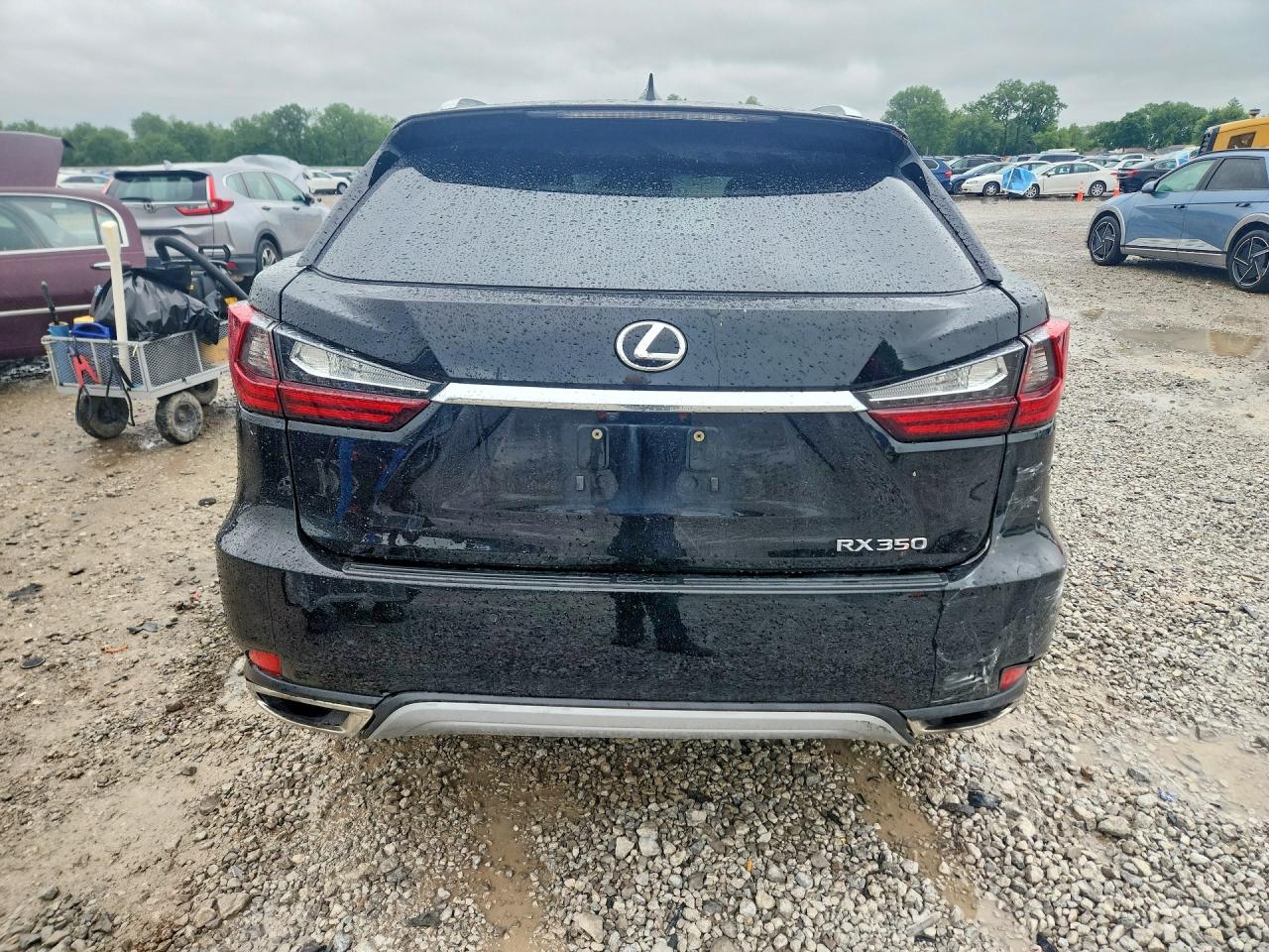 2020 LEXUS RX 350 photo 6