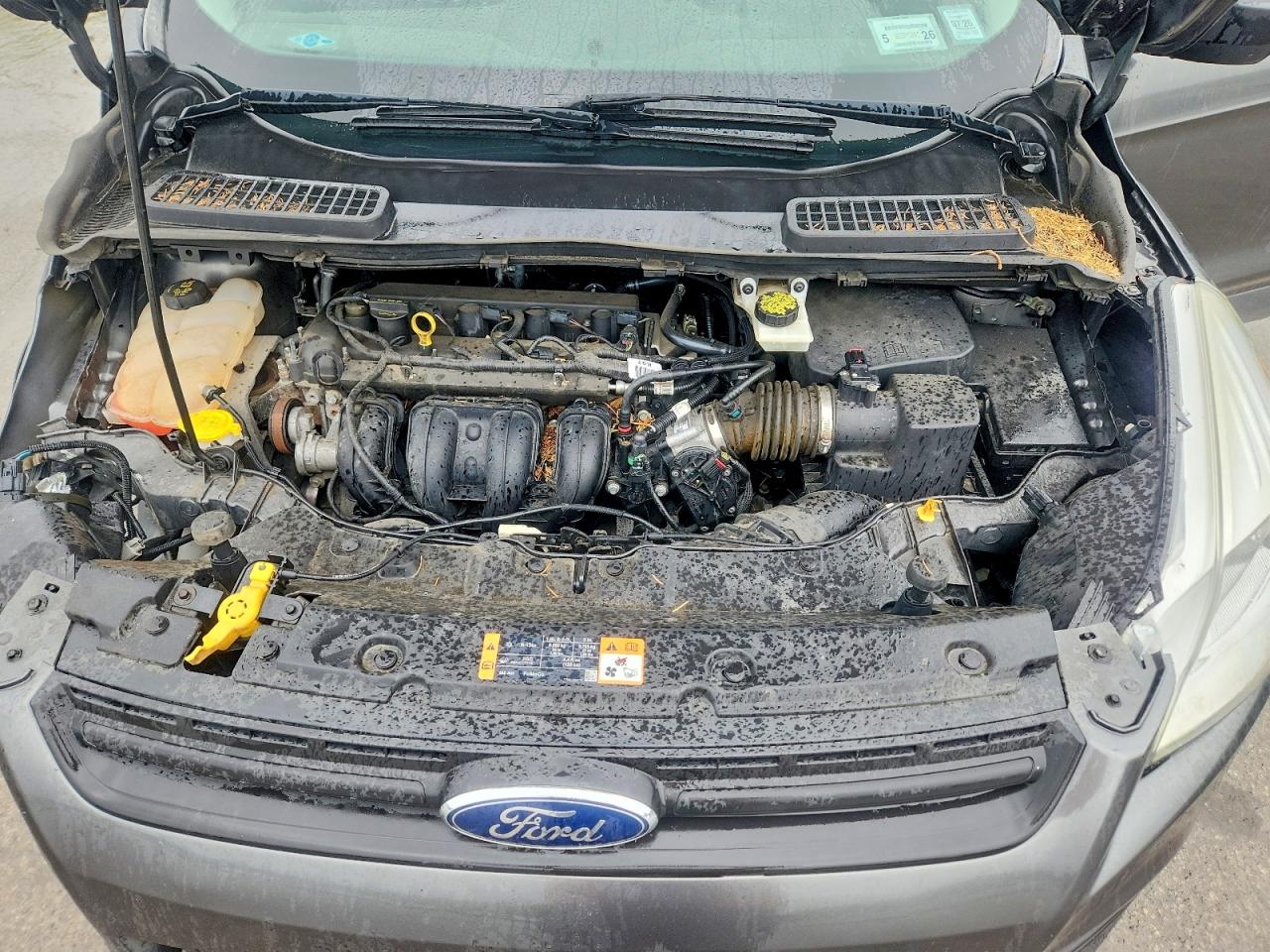 2016 FORD ESCAPE S photo 23
