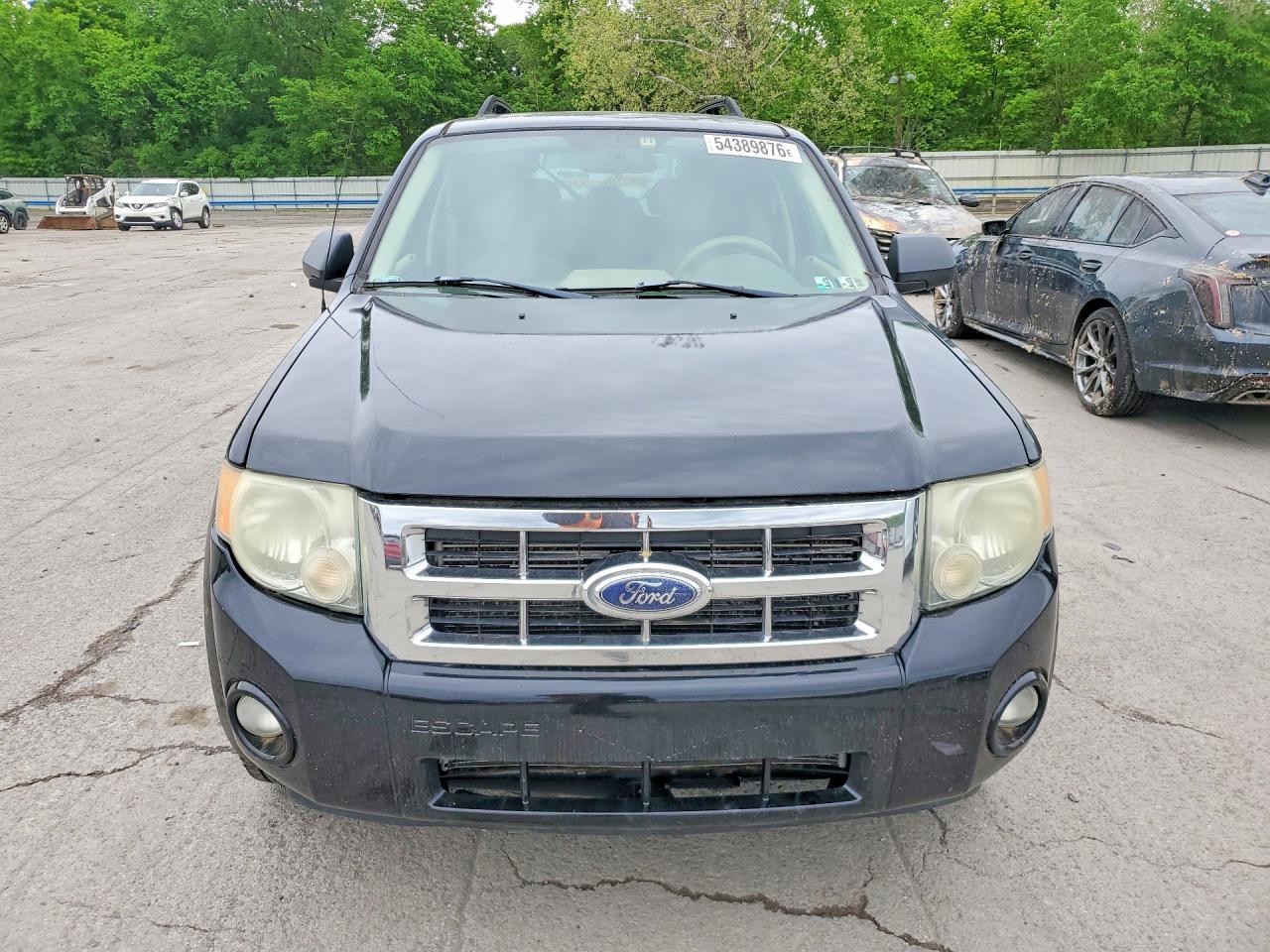 2008 FORD ESCAPE XLT photo 9
