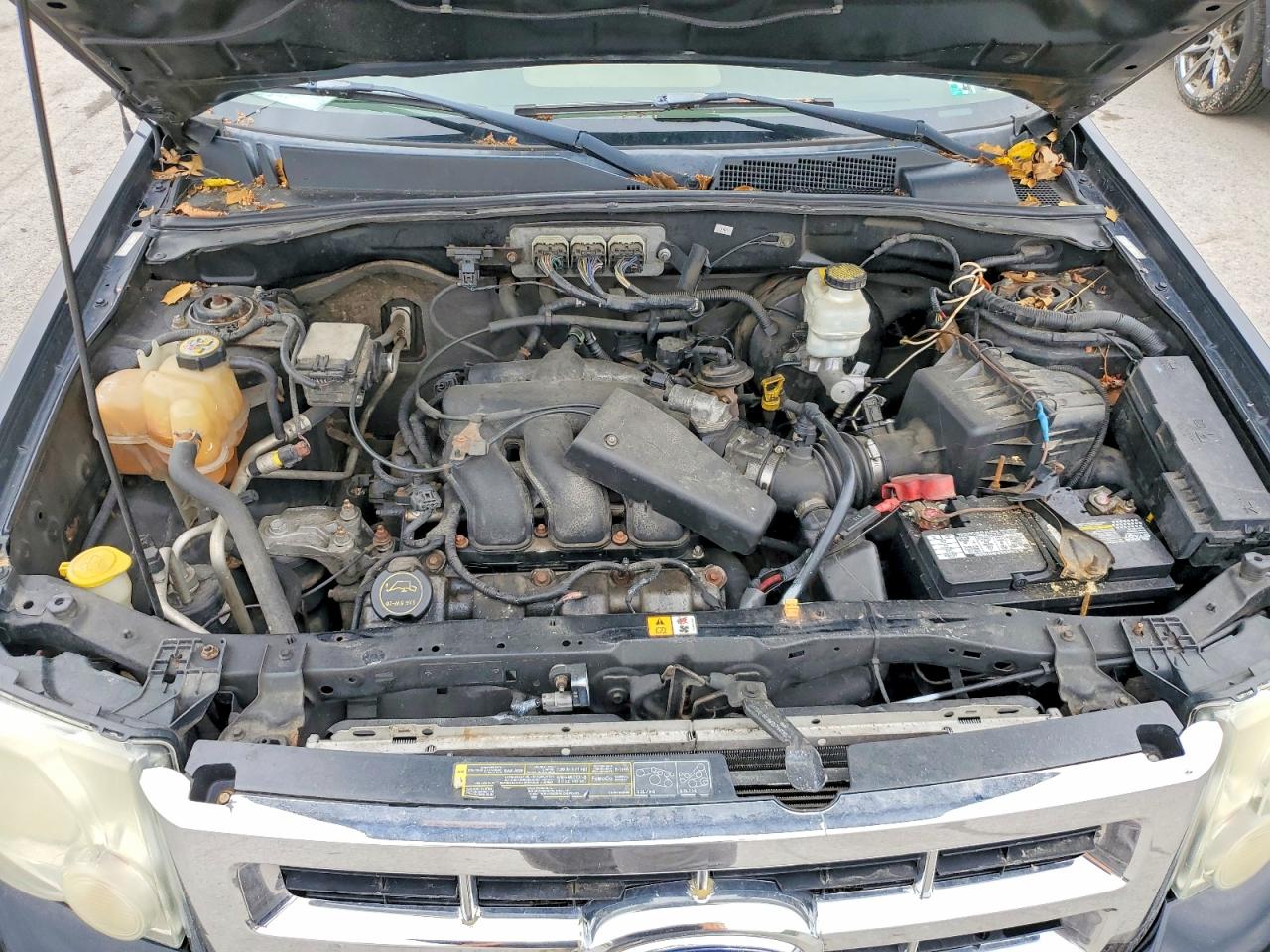 2008 FORD ESCAPE XLT photo 23