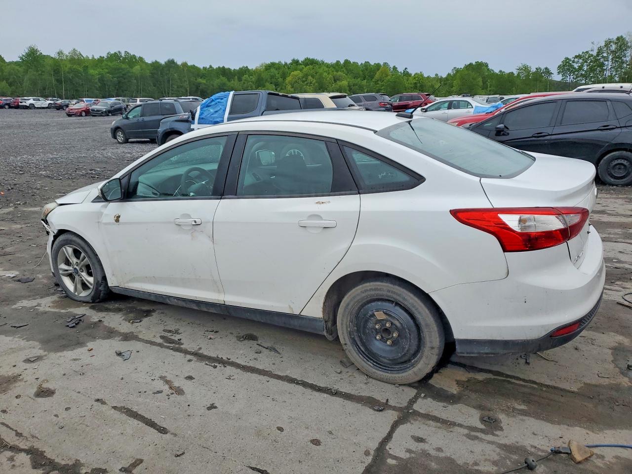 2014 FORD FOCUS SE photo 4