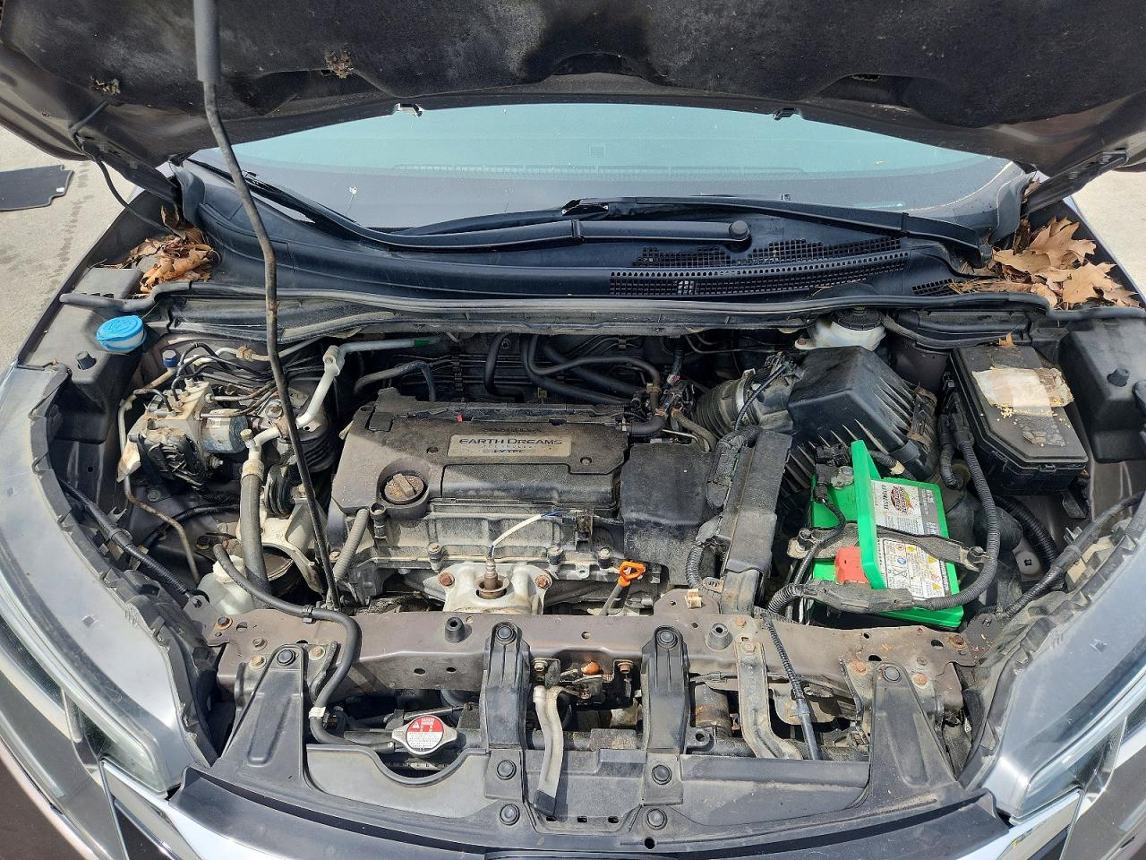2015 HONDA CR-V LX photo 11