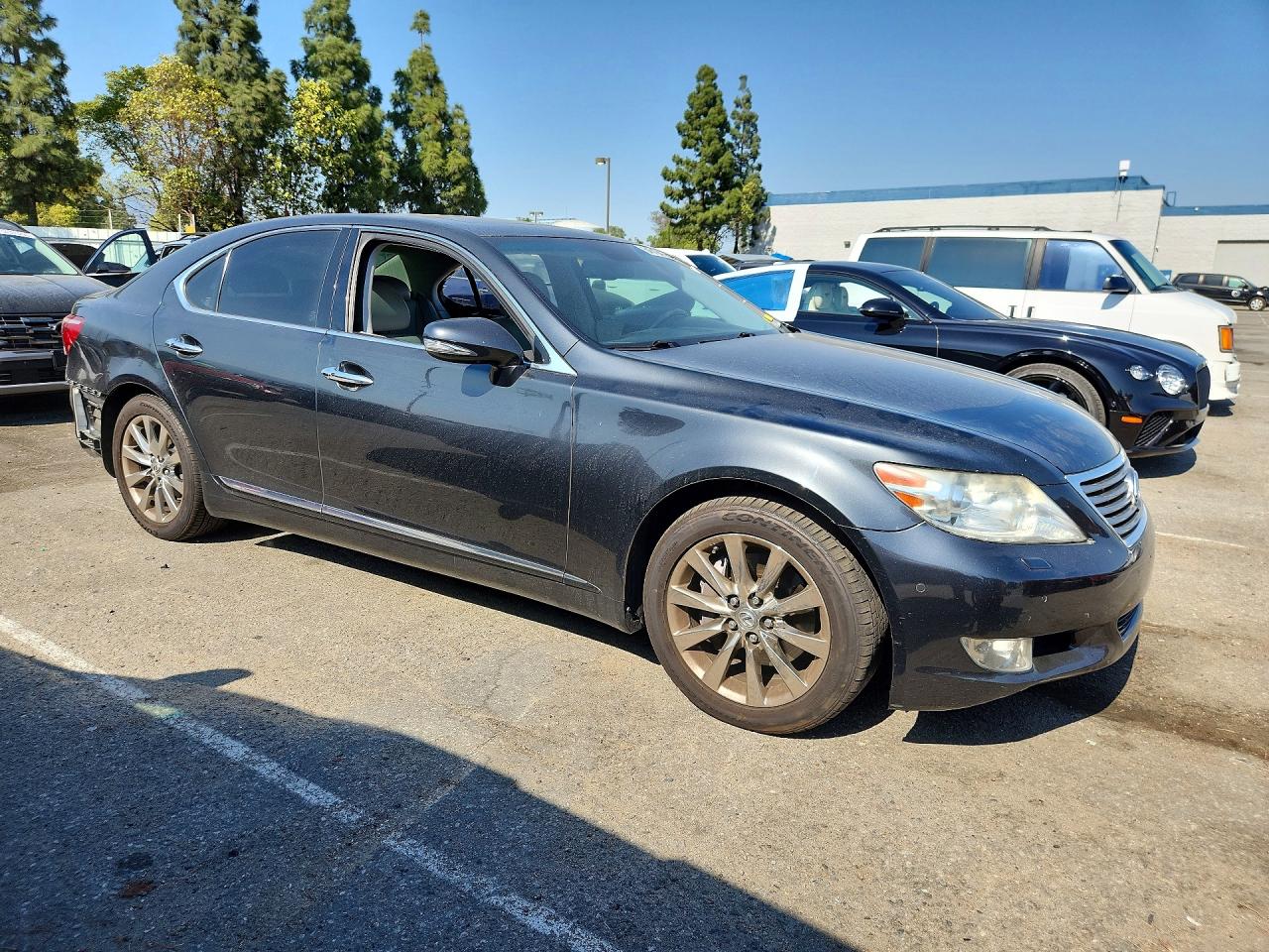 2010 LEXUS LS 460 photo 7