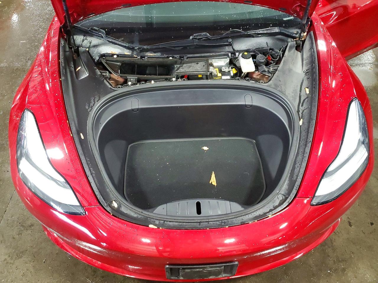 2019 TESLA MODEL 3 photo 31