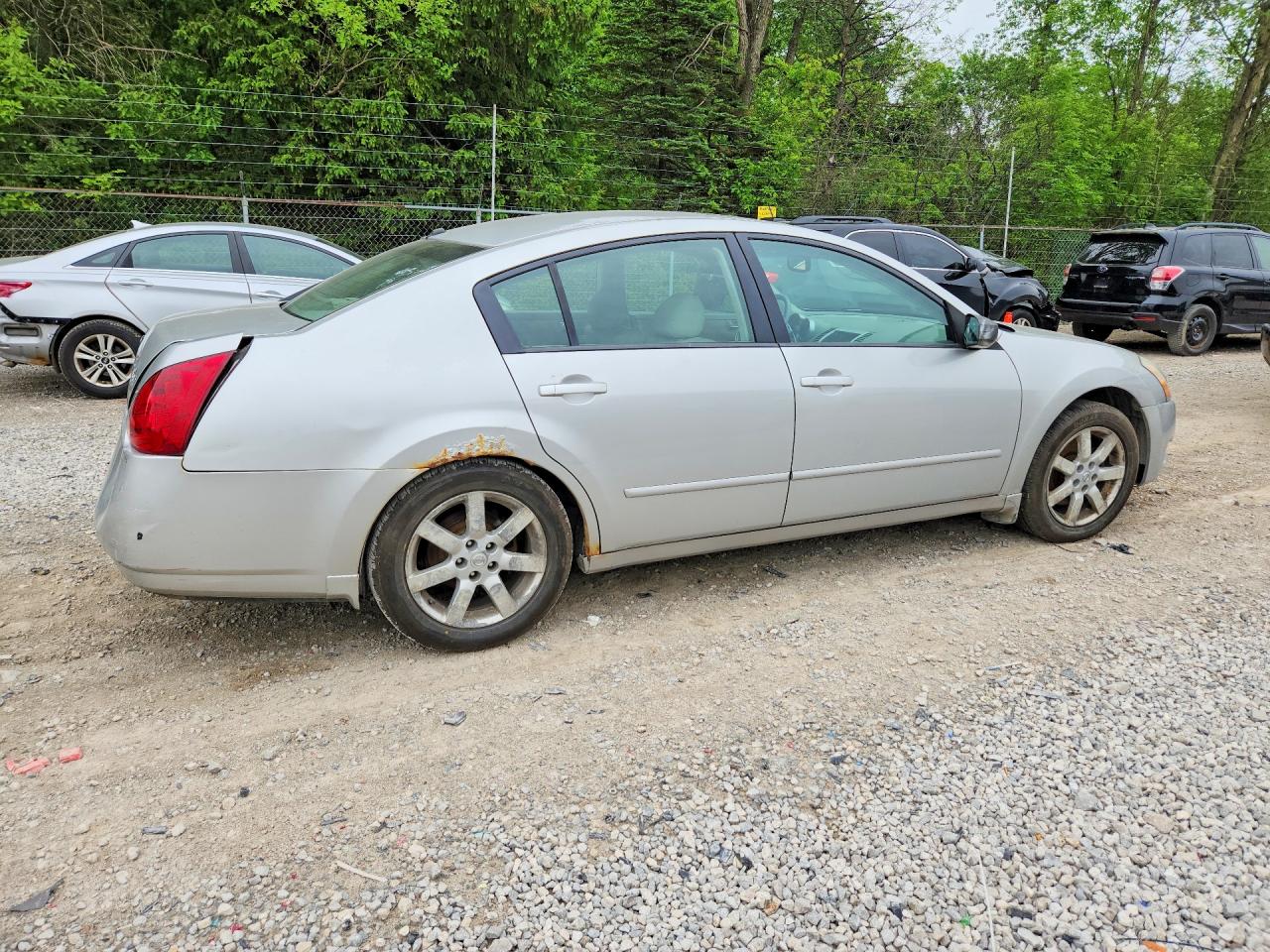 2006 NISSAN MAXIMA 3.5 SE photo 5