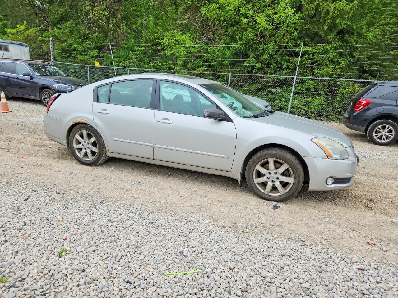 2006 NISSAN MAXIMA 3.5 SE photo 7