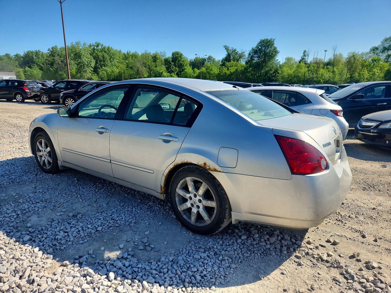 2006 NISSAN MAXIMA 3.5 SE photo 3
