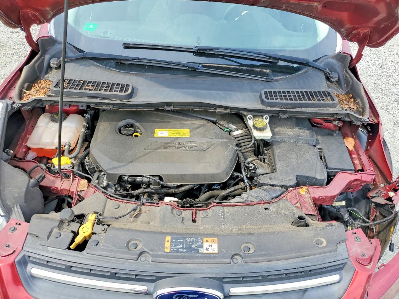 2014 FORD ESCAPE SE photo 21