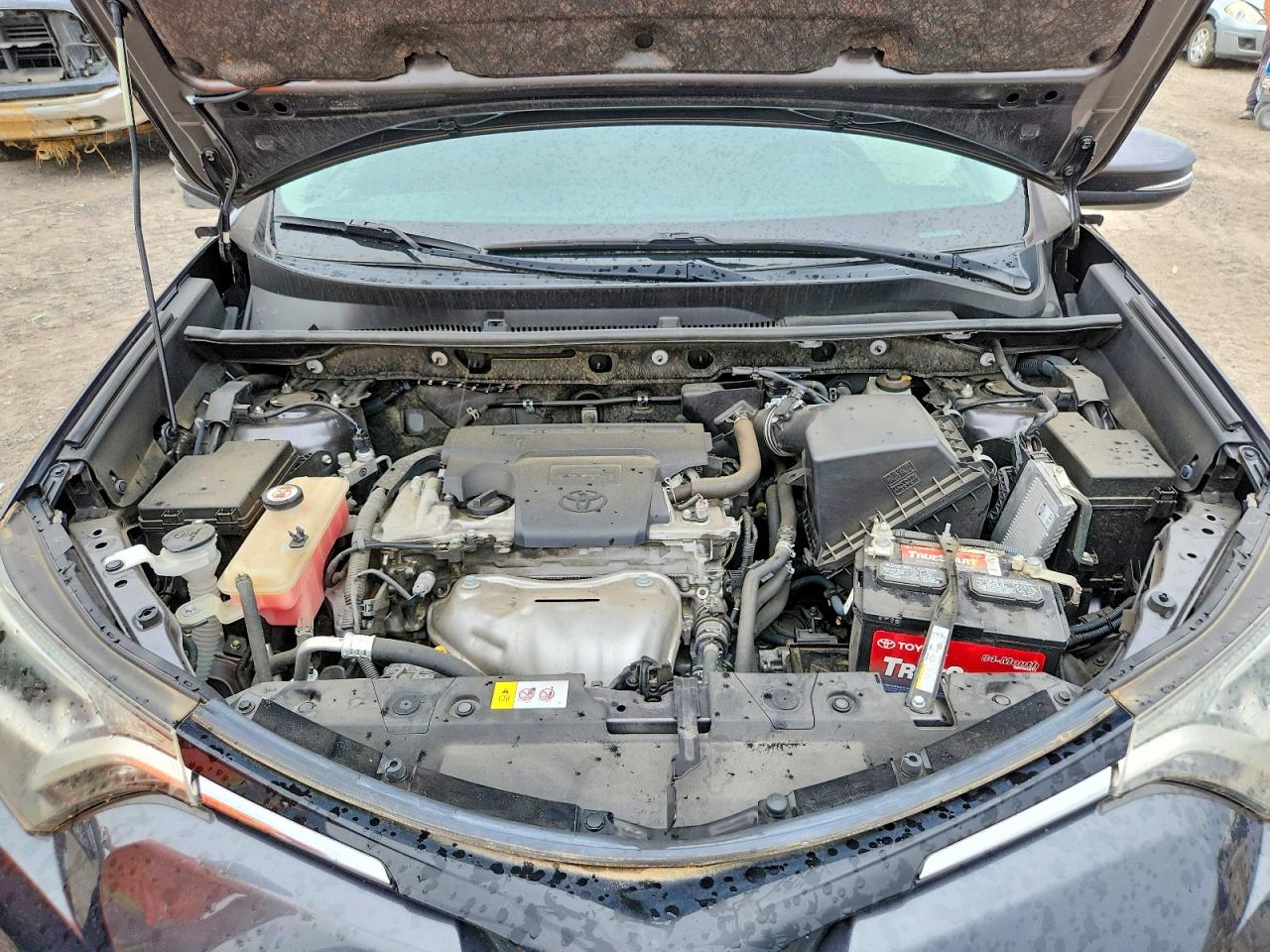 2017 TOYOTA RAV4 L SPECIAL EDITION photo 34