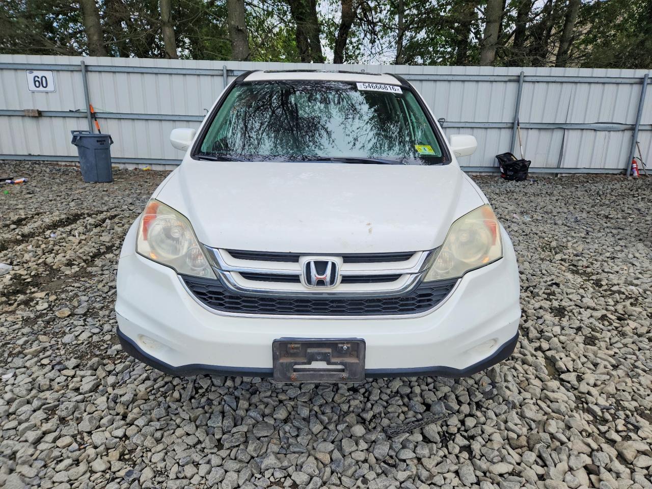 2010 HONDA CR-V EXL photo 5