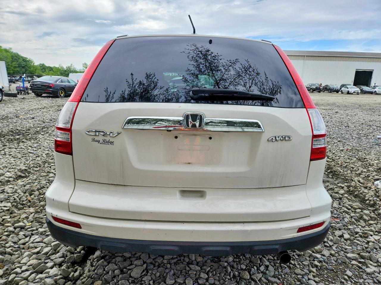 2010 HONDA CR-V EXL photo 6