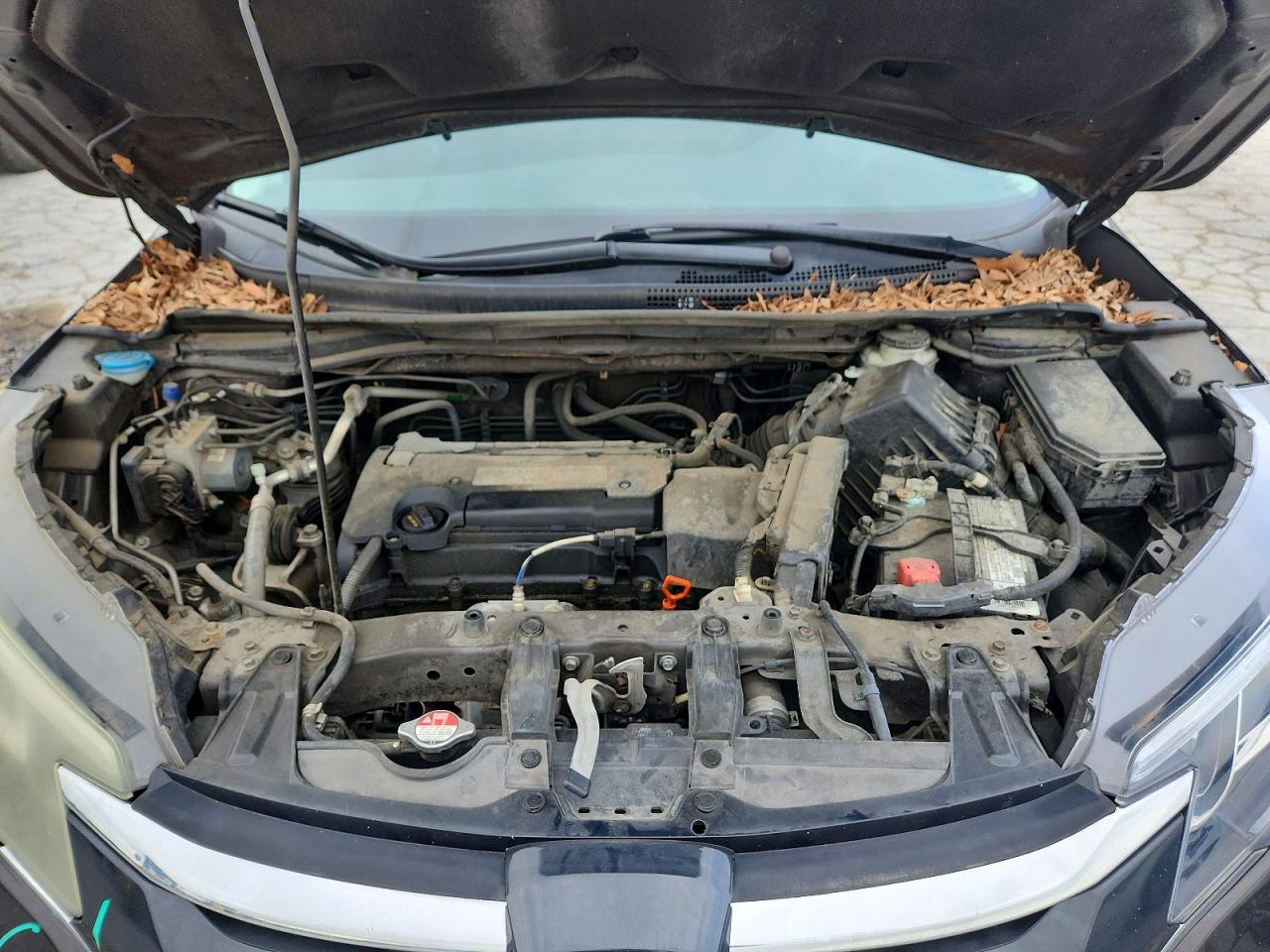 2015 HONDA CR-V EX photo 23
