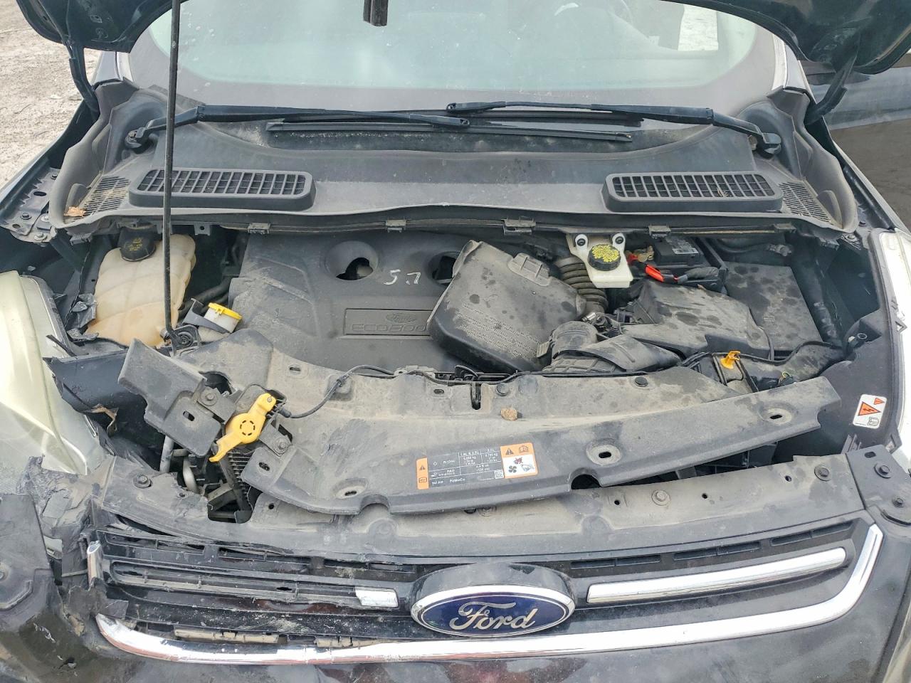 2014 FORD ESCAPE TITANIUM photo 12