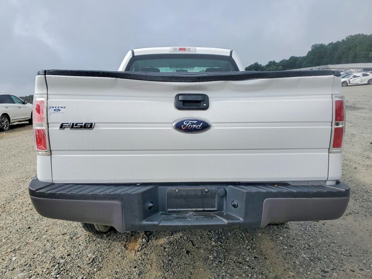 2010 FORD F150 photo 11