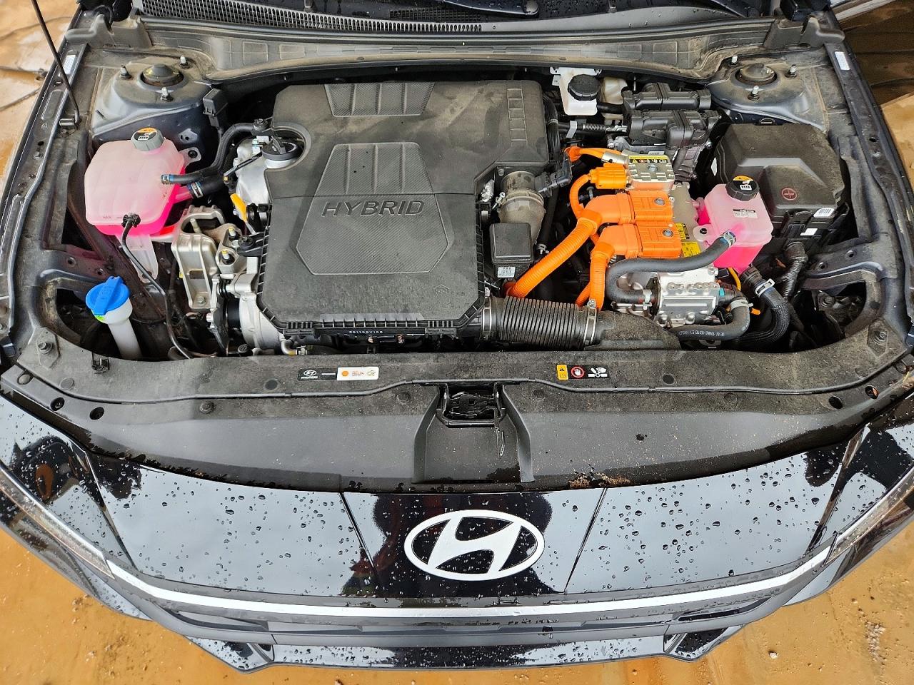 2024 HYUNDAI ELANTRA BLUE photo 21