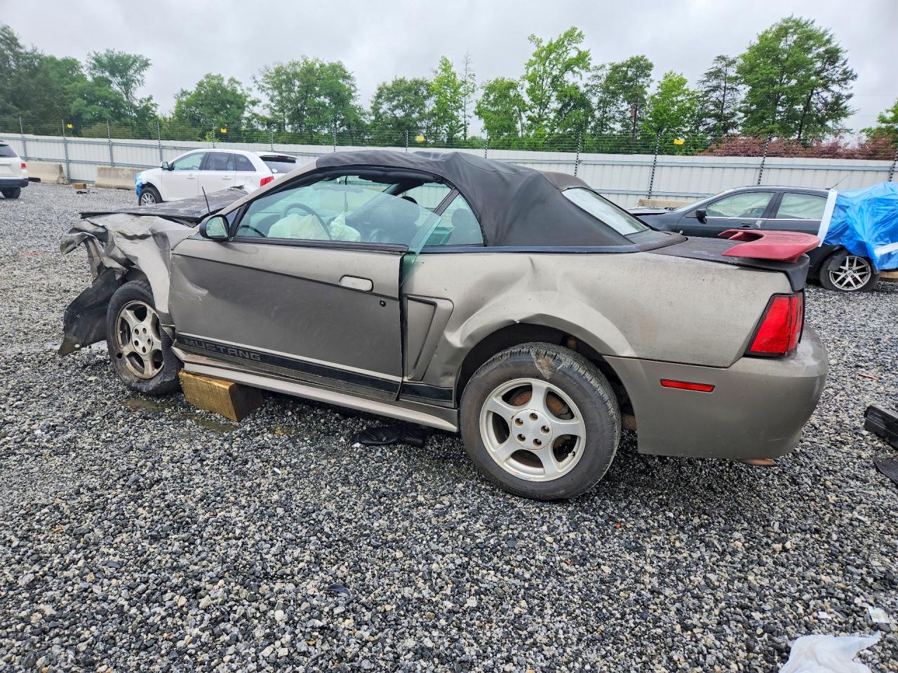 2002 FORD MUSTANG photo 3