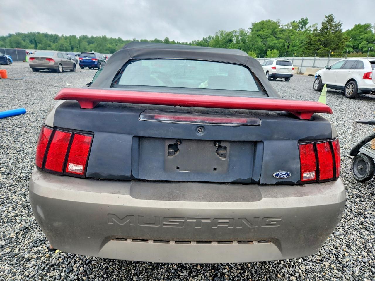2002 FORD MUSTANG photo 11