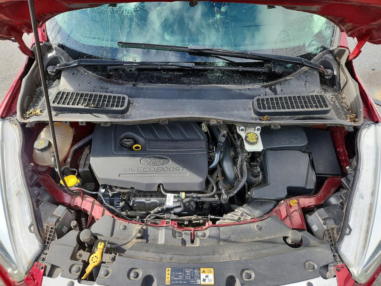 2018 FORD ESCAPE SEL photo 23