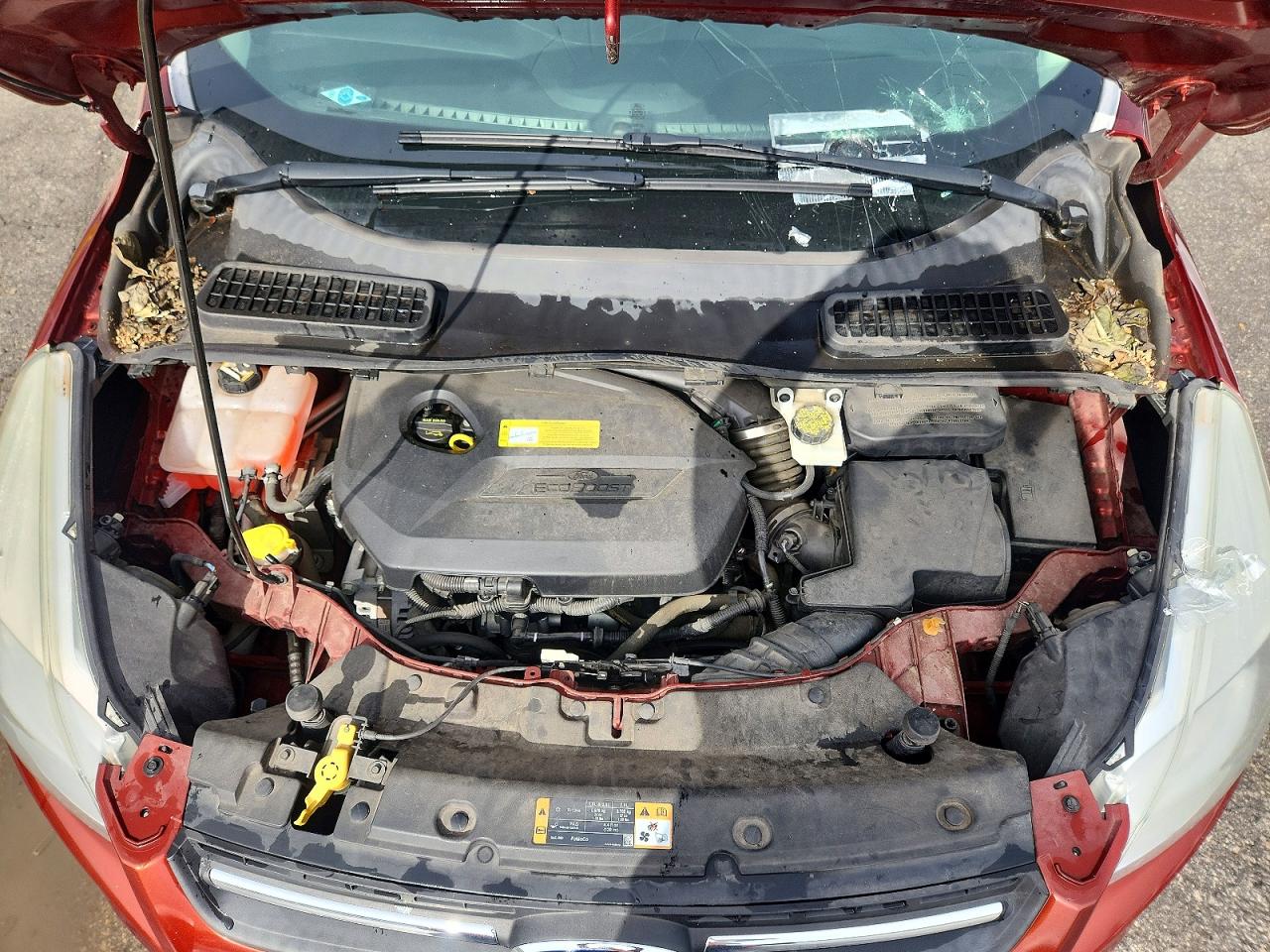 2014 FORD ESCAPE SE photo 34