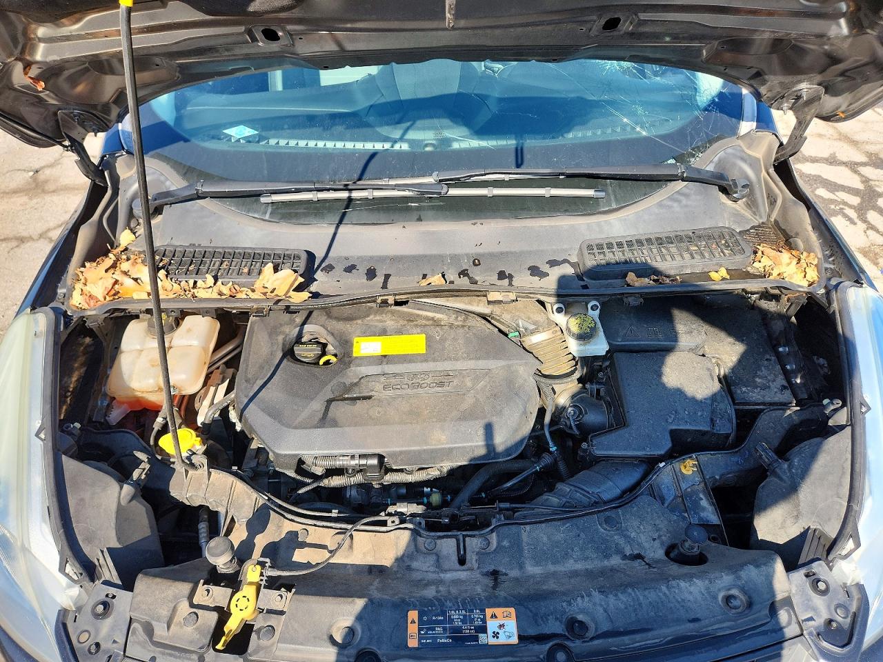 2016 FORD ESCAPE SE photo 23
