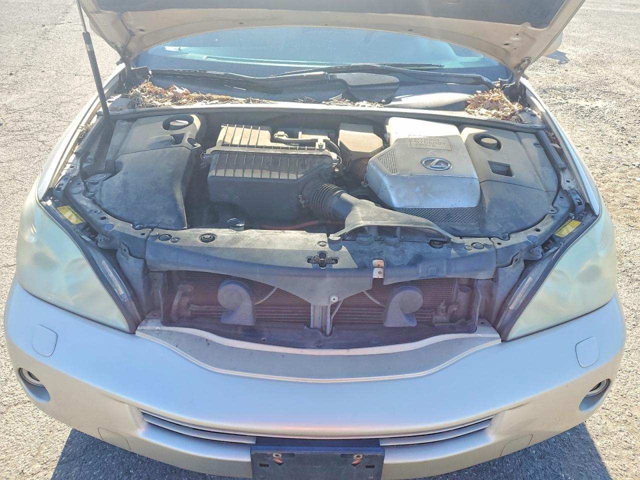 2006 LEXUS RX 400 photo 12