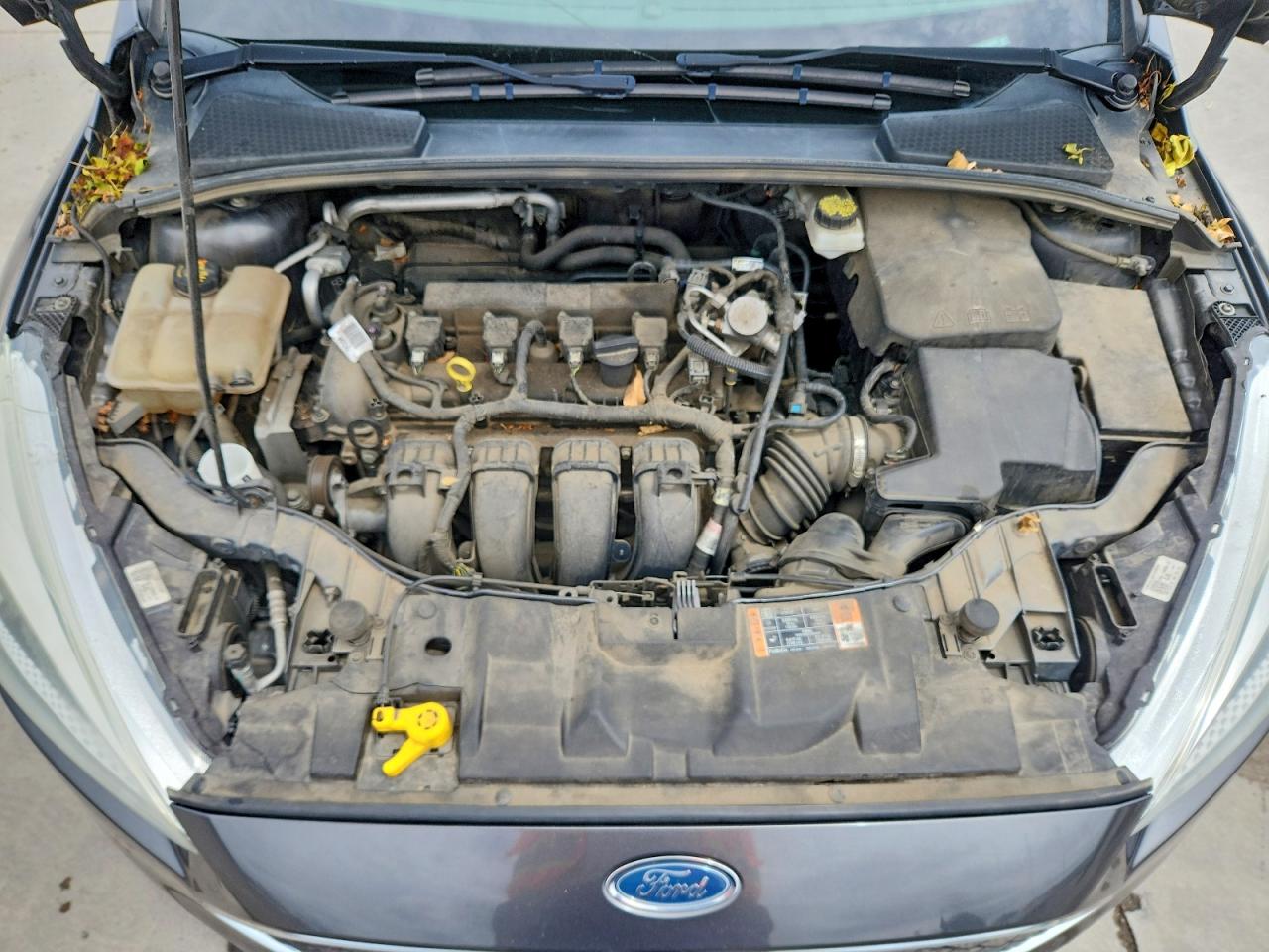 2017 FORD FOCUS SE photo 21