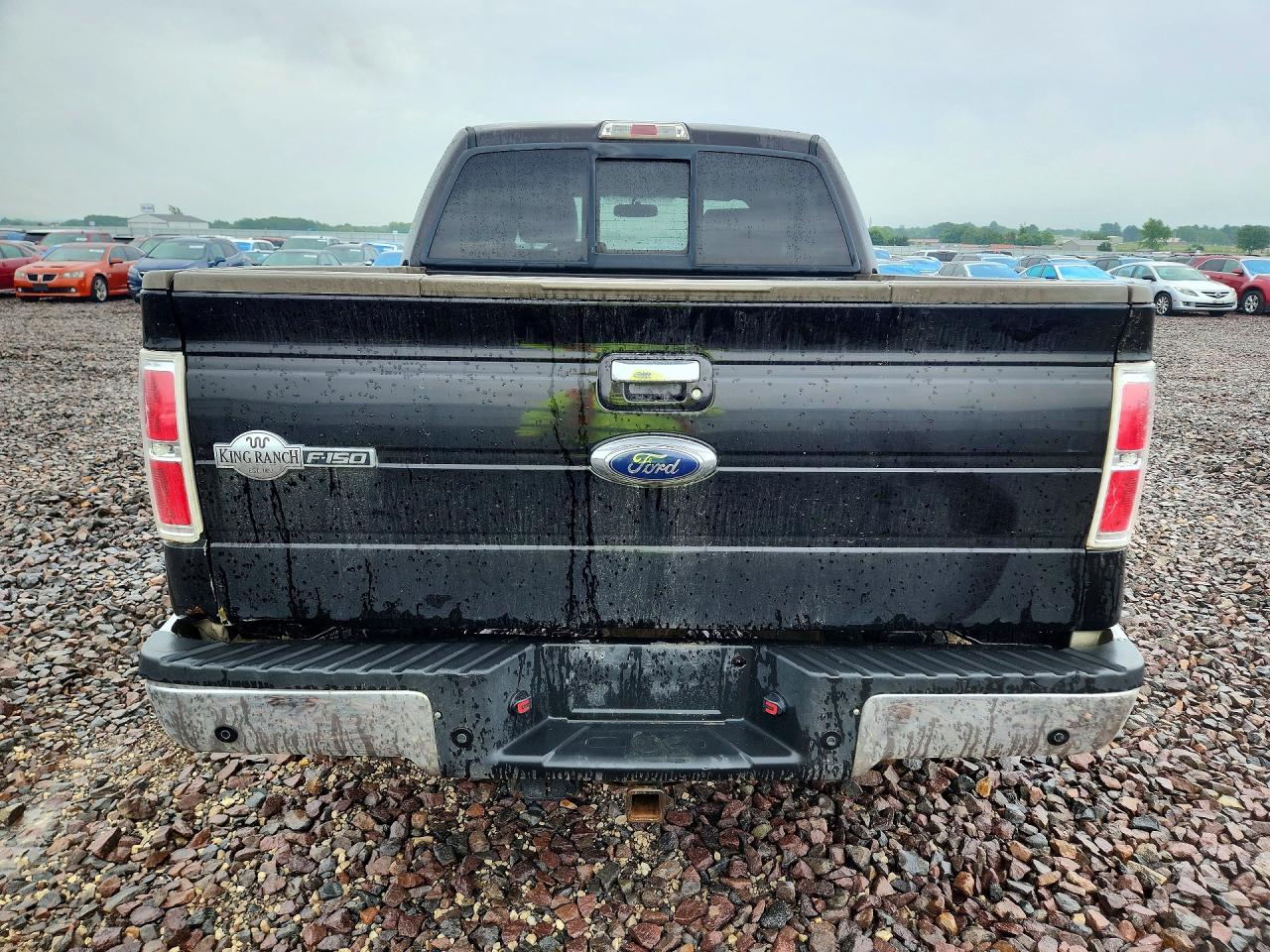 2013 FORD F150 photo 6