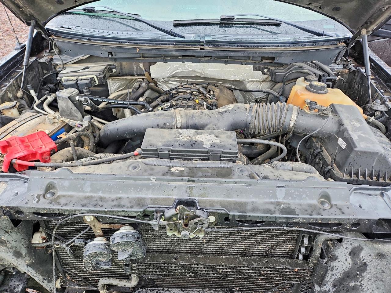 2013 FORD F150 photo 11
