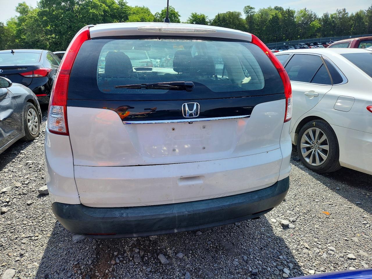 2014 HONDA CR-V LX photo 11