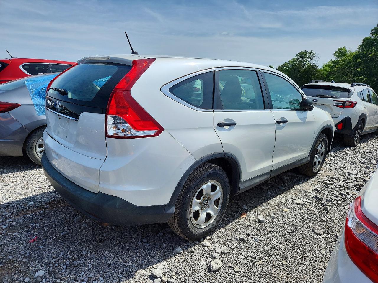 2014 HONDA CR-V LX photo 5