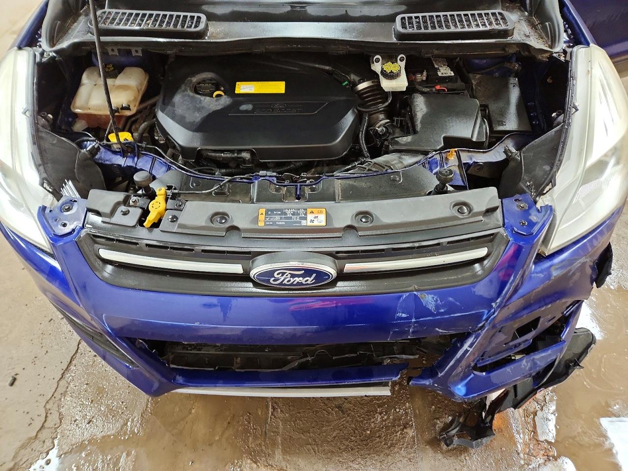 2016 FORD ESCAPE SE photo 12