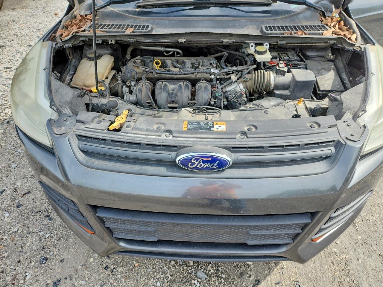 2015 FORD ESCAPE S photo 23
