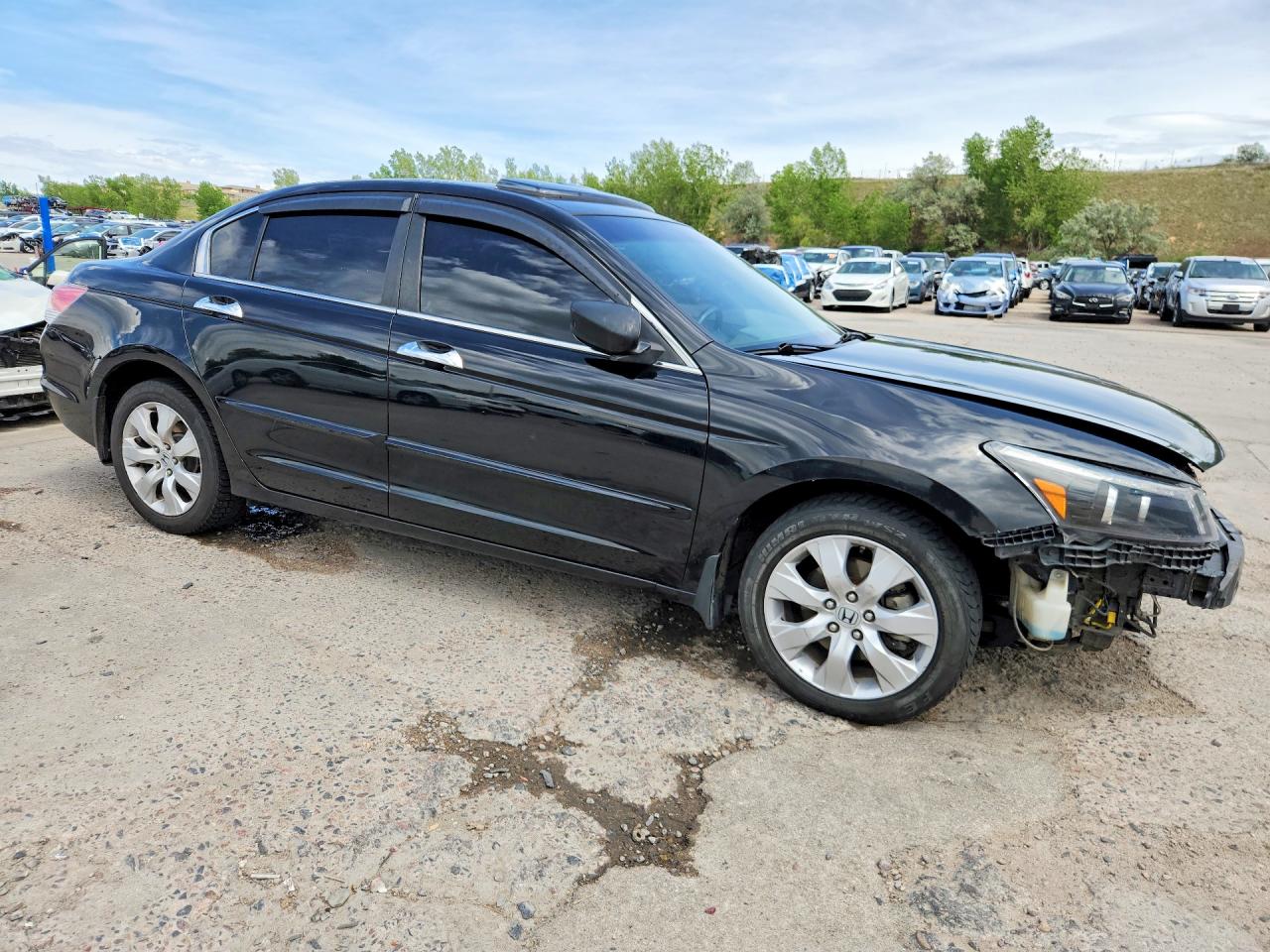2009 HONDA ACCORD EXL photo 7