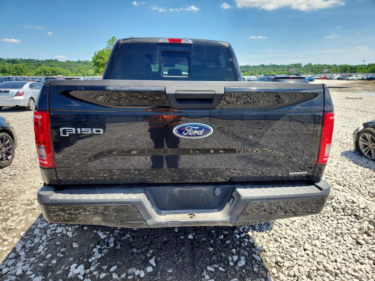 2015 FORD F150 SUPERCREW photo 6