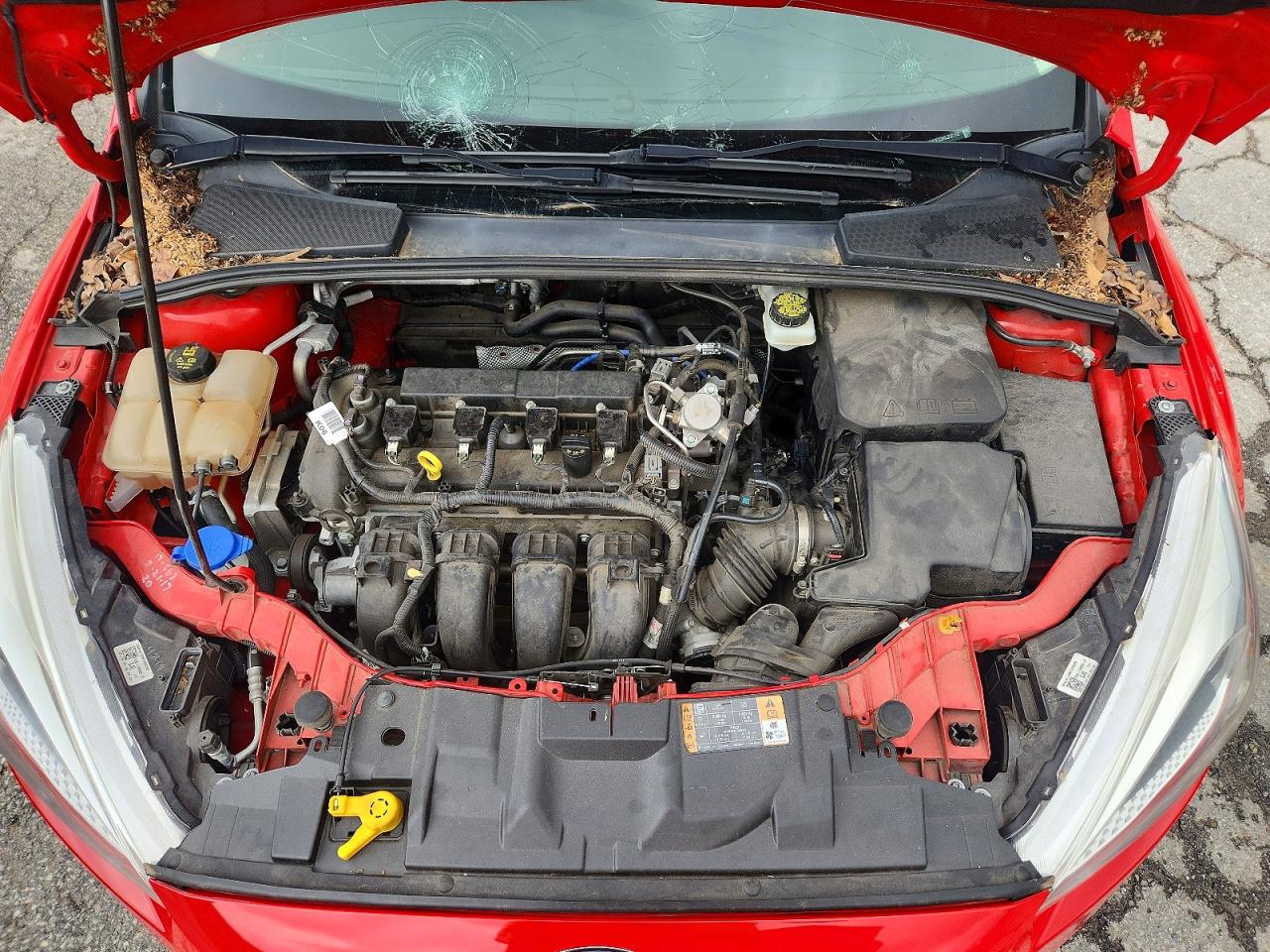 2017 FORD FOCUS SE photo 21