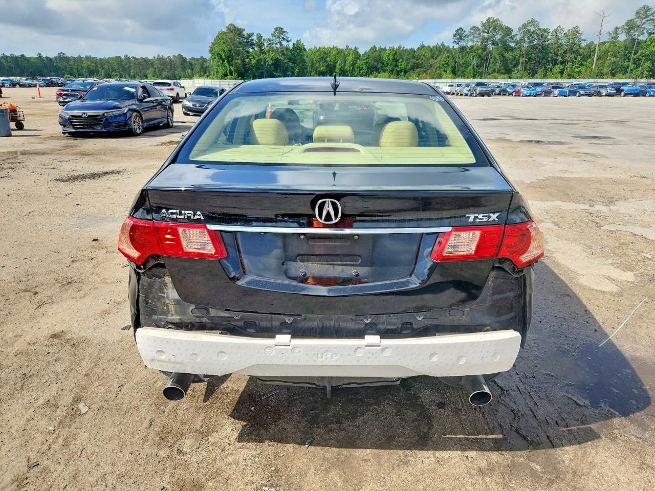 2013 ACURA TSX TECH photo 11