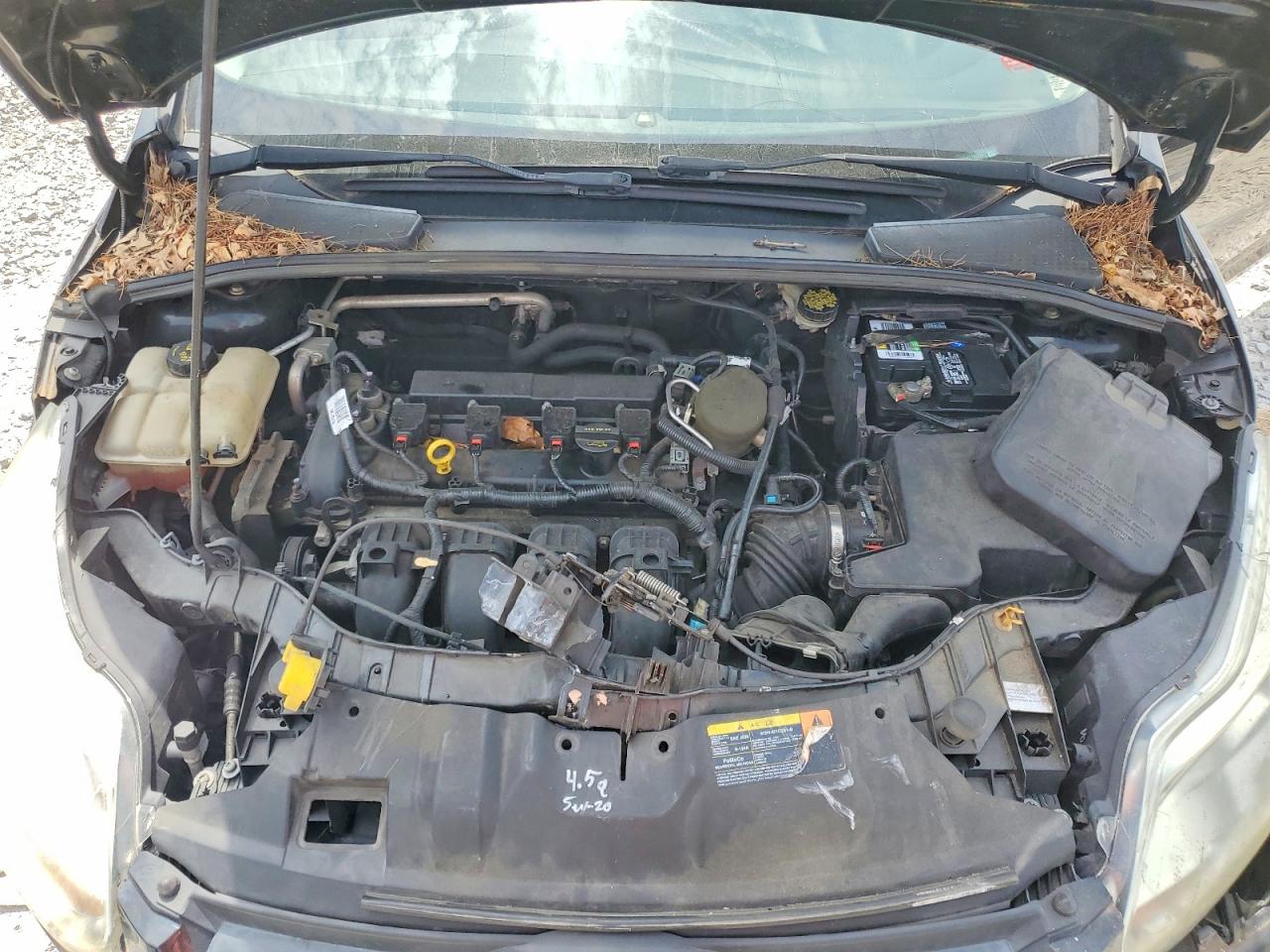 2014 FORD FOCUS SE photo 11