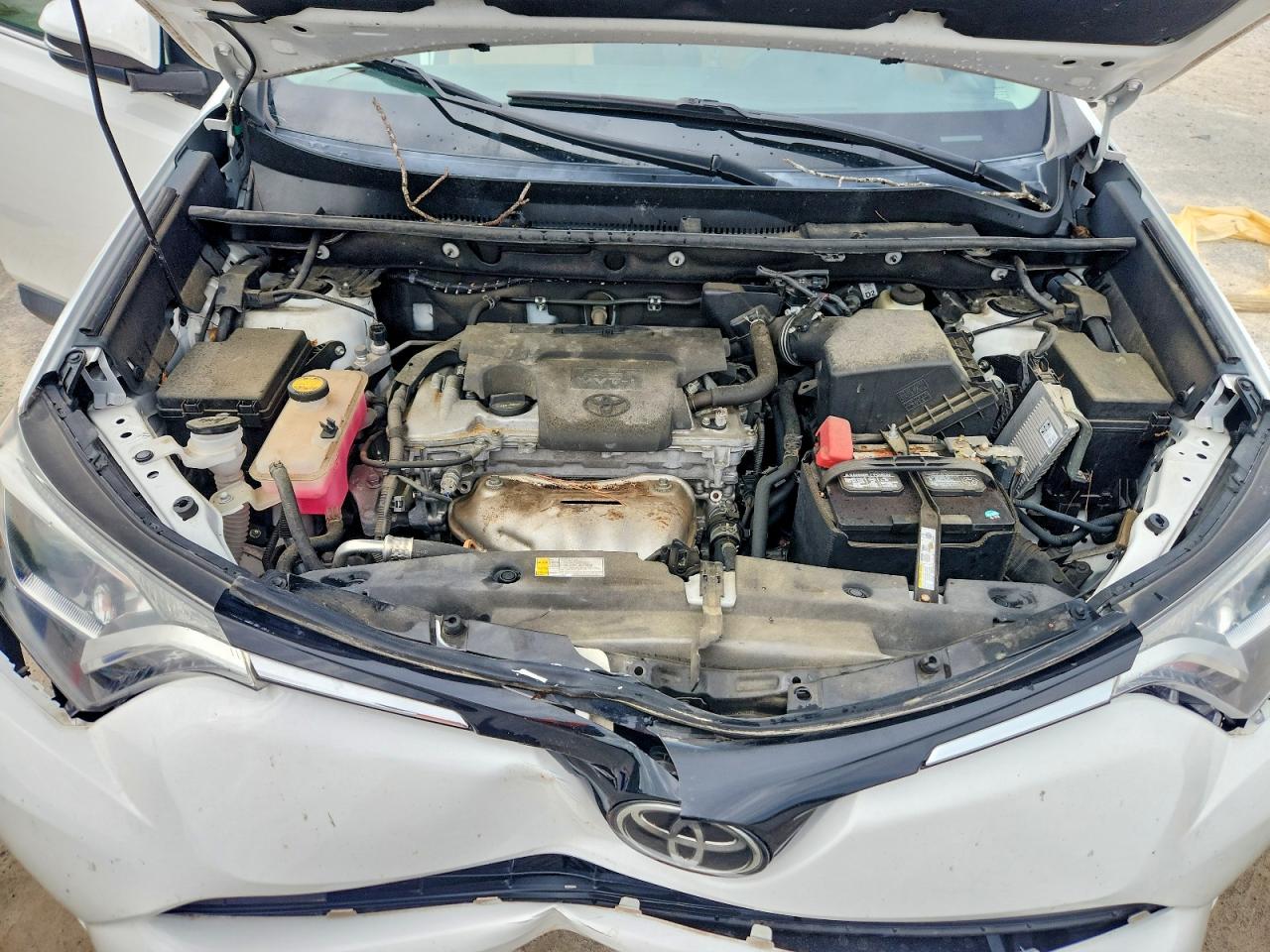 2017 TOYOTA RAV4 XLE photo 12