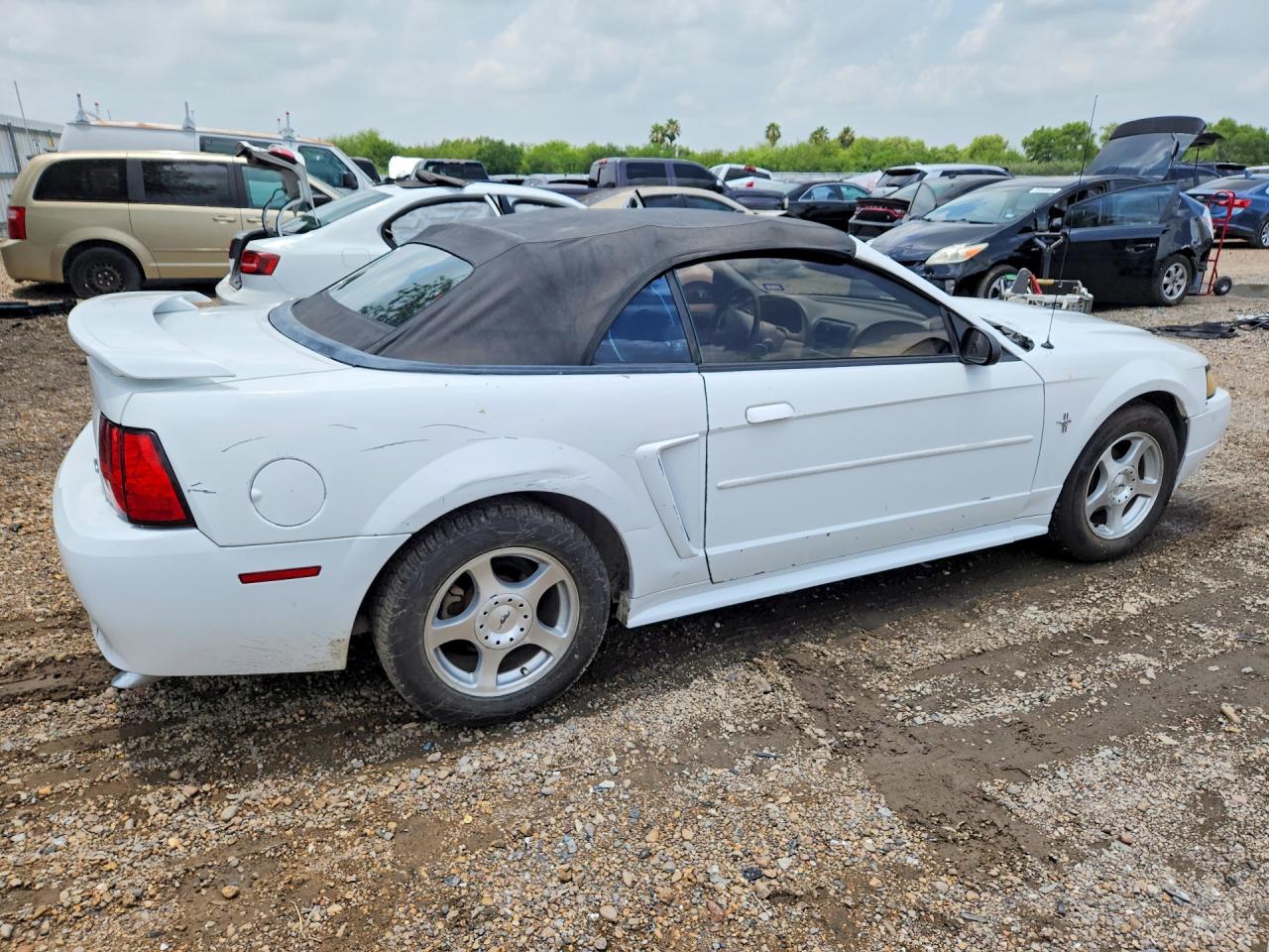 2003 FORD MUSTANG photo 7