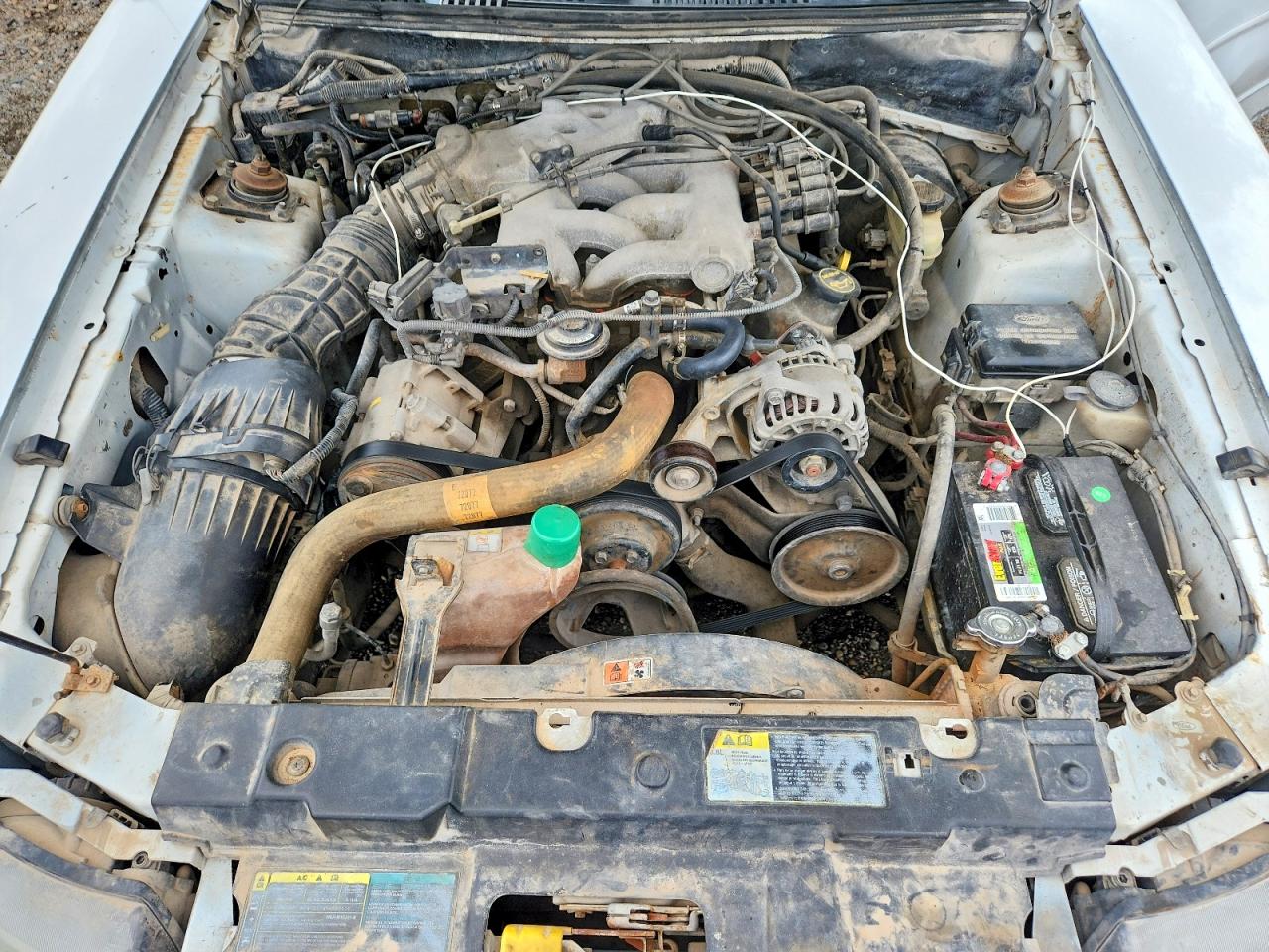 2003 FORD MUSTANG photo 31