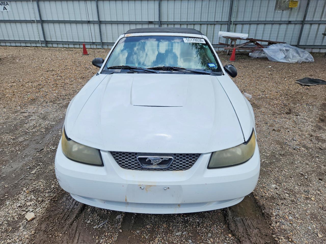 2003 FORD MUSTANG photo 13