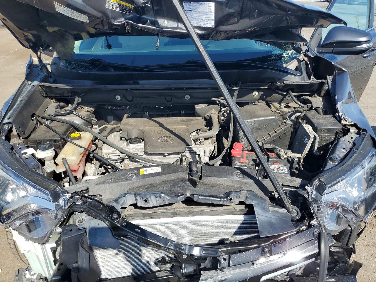 2016 TOYOTA RAV4 XLE photo 23