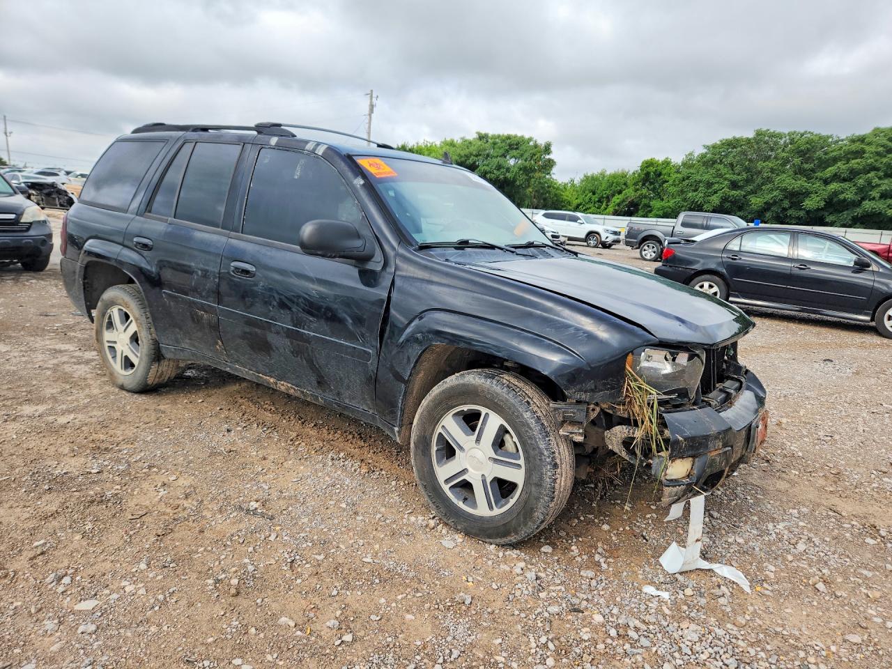 2006 CHEVROLET TRAILBLAZER LS photo 10
