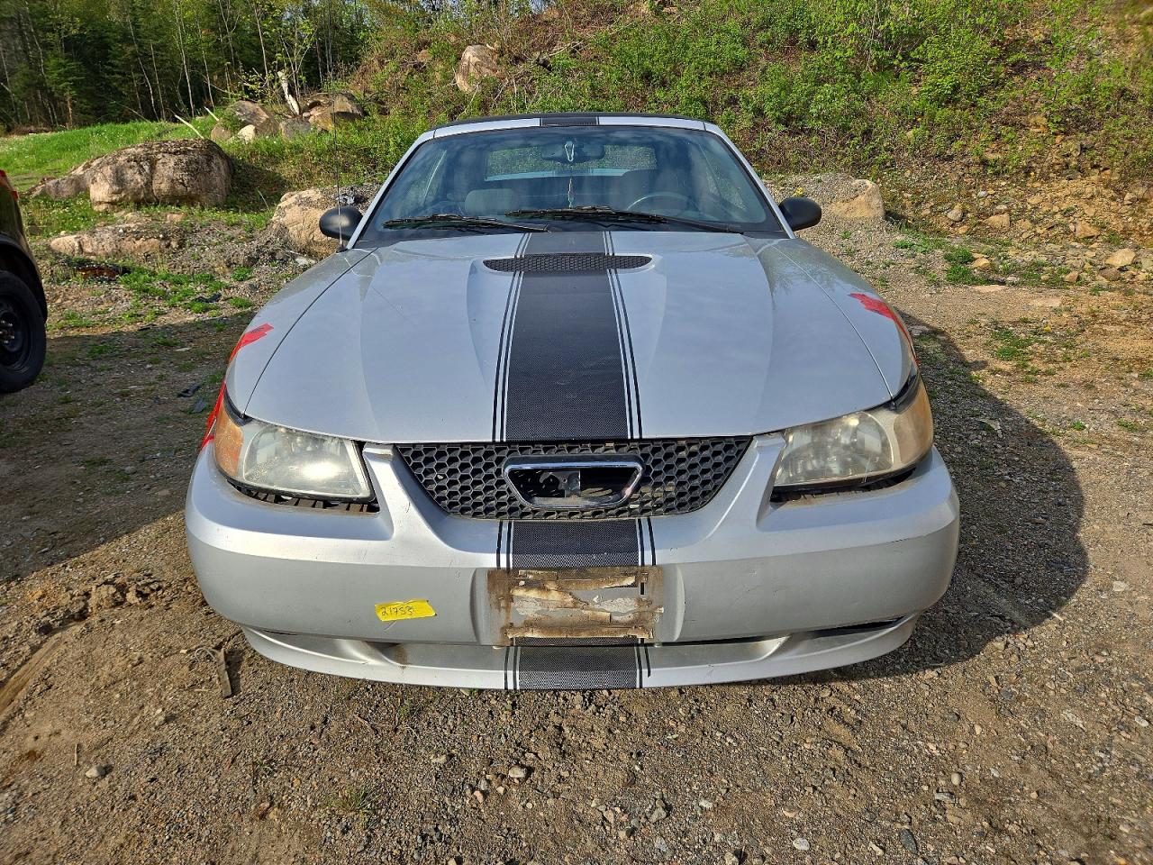 2000 FORD MUSTANG photo 13