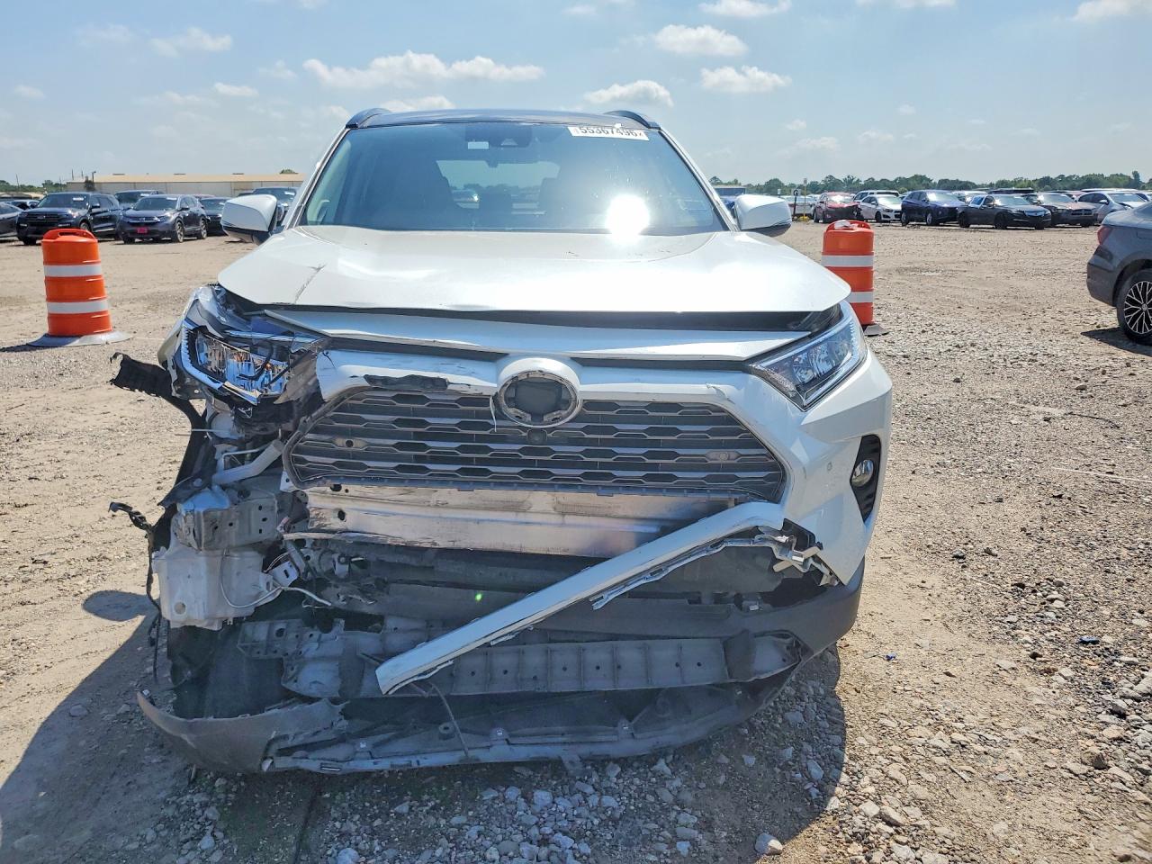 2019 TOYOTA RAV4 LIMITED photo 9