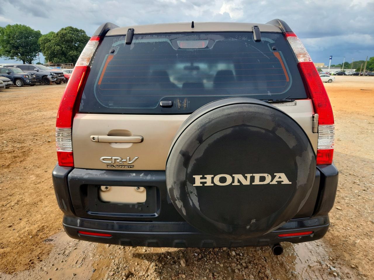 2005 HONDA CR-V LX photo 6