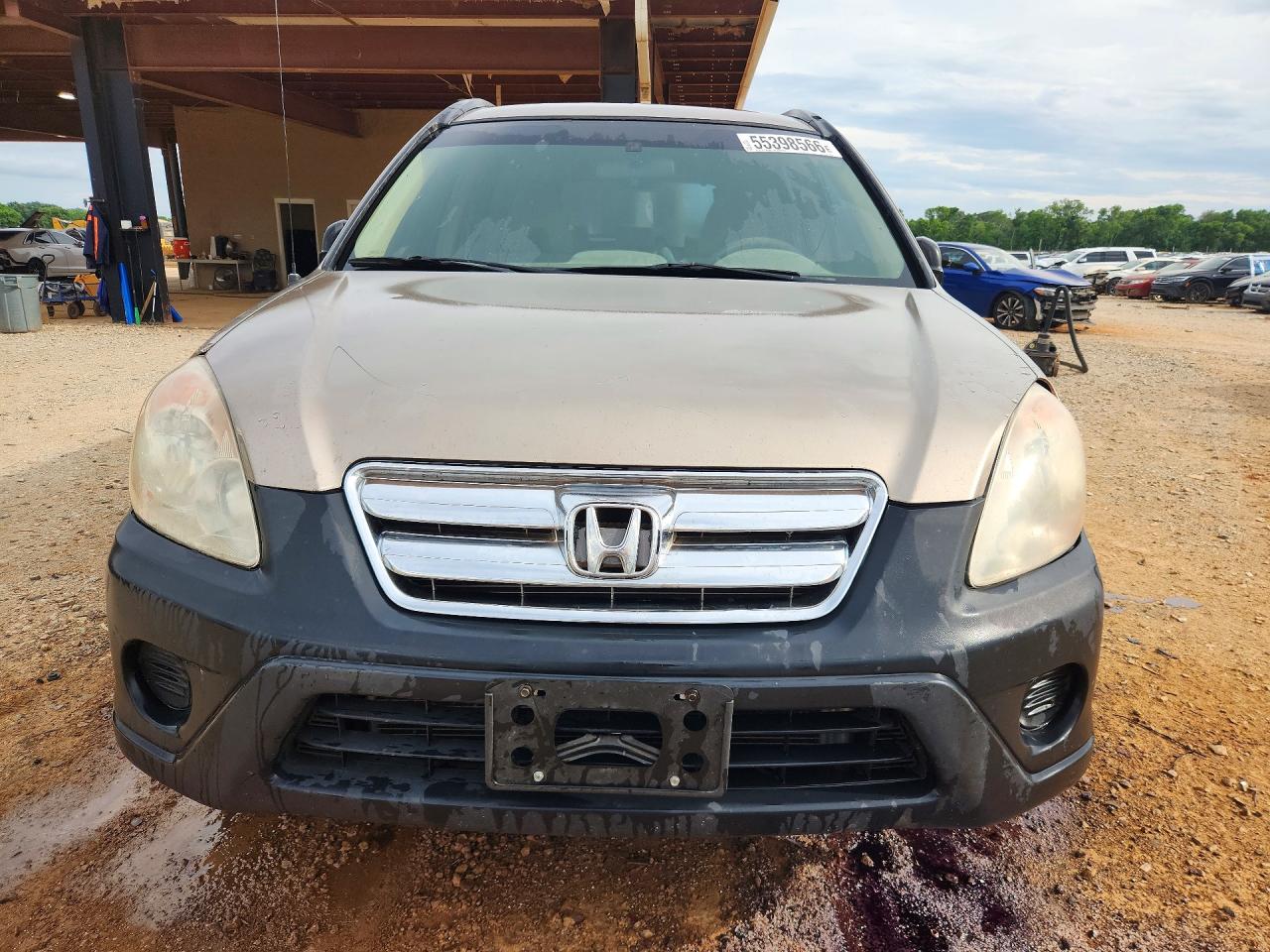 2005 HONDA CR-V LX photo 5