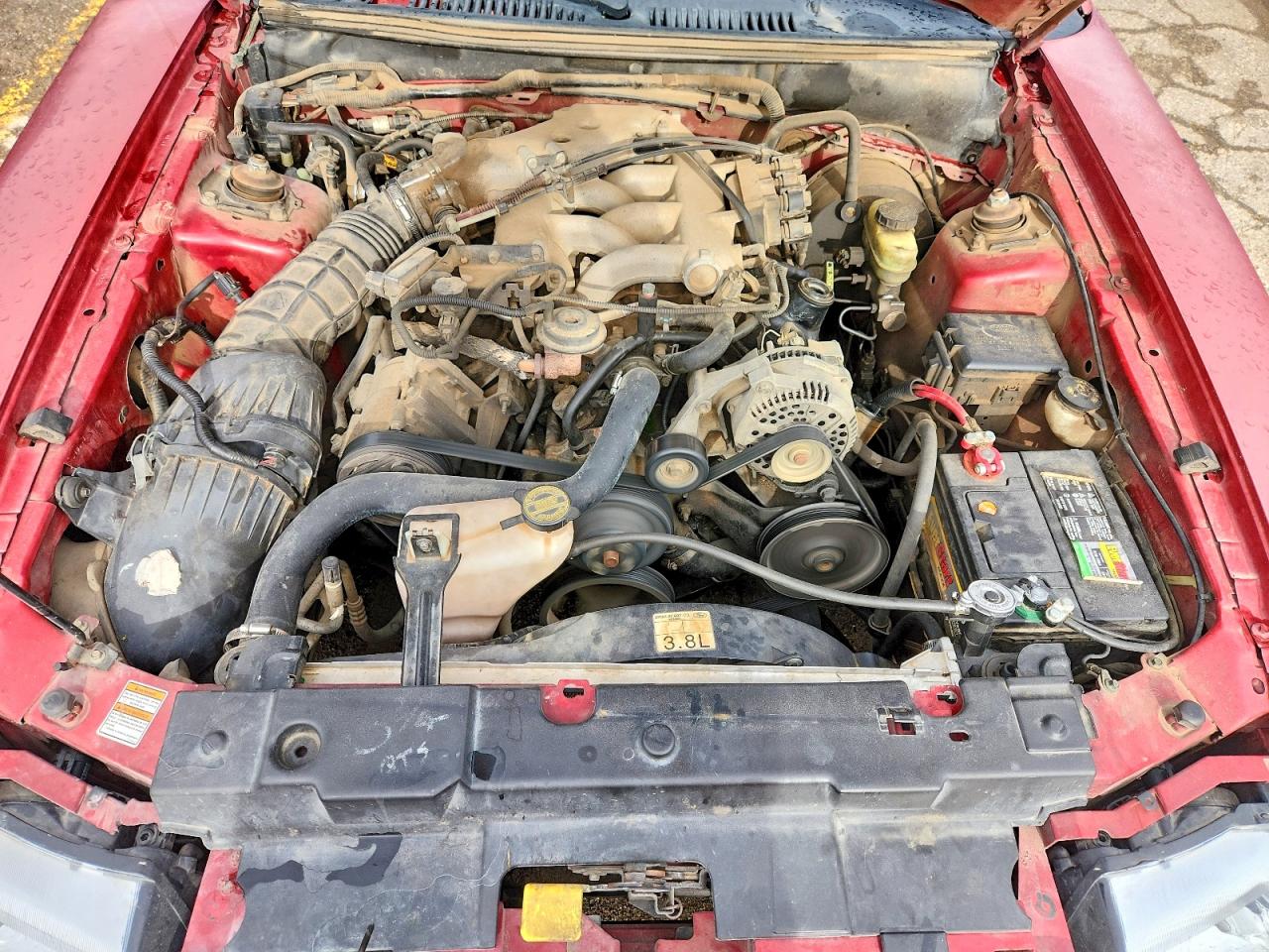 2000 FORD MUSTANG photo 21